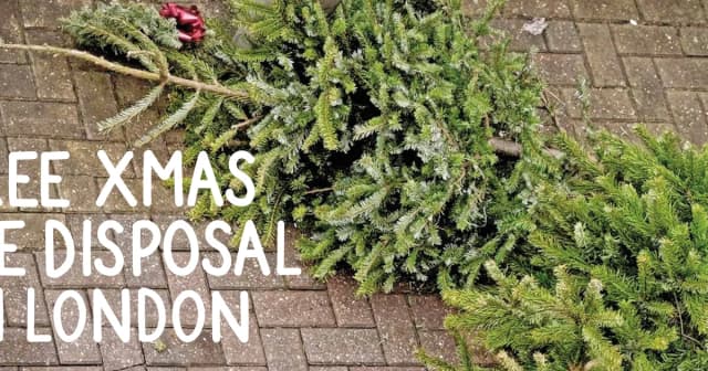 How to Recycle and Dispose of your 2023 Christmas Tree in London for Free
