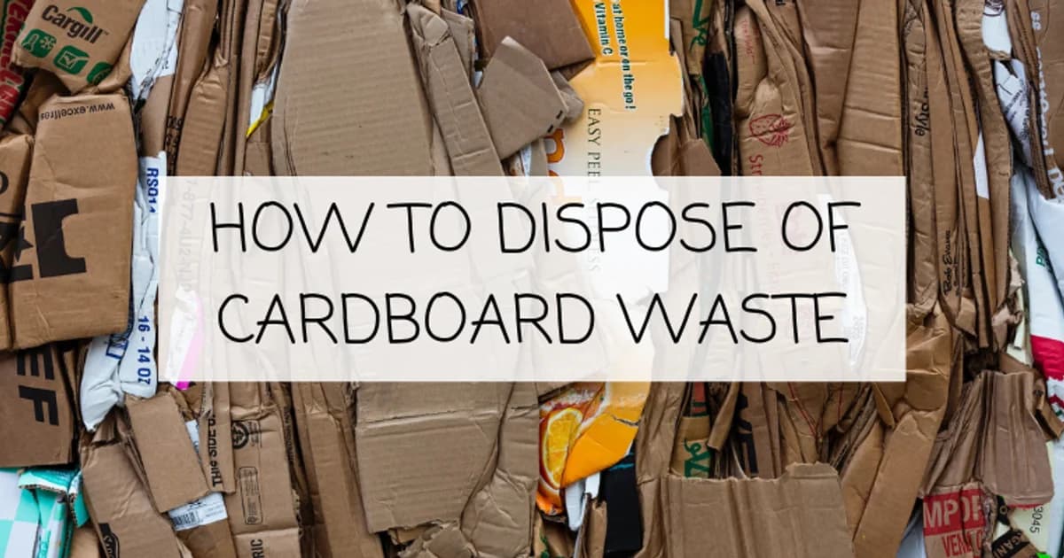 How to dispose of cardboard waste