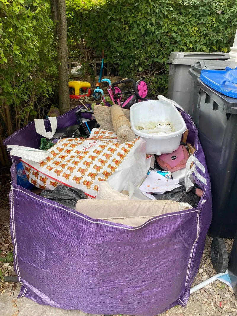 bedbug diy waste disposal London £85