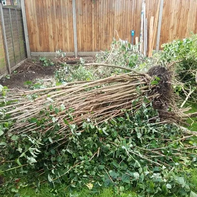 green waste disposal for £75