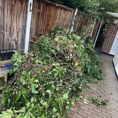 tree cuttings collected for removal £70