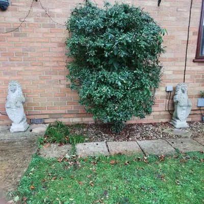 small heavy statues removed for £30