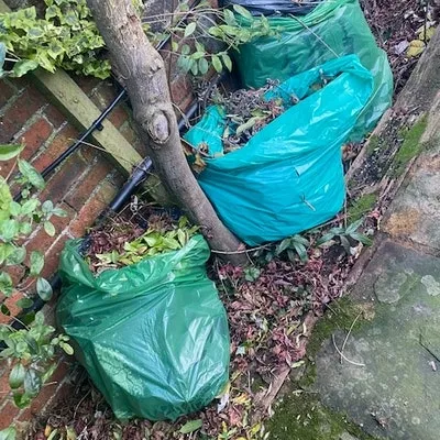 6 bags of green waste removed for for fee of £40