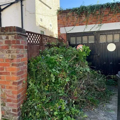 £90 cost to remove pile of garden waste
