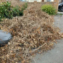 garden waste clearance brighton