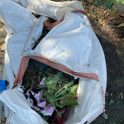 W3 ealing 2 bags of garden waste disposal £80