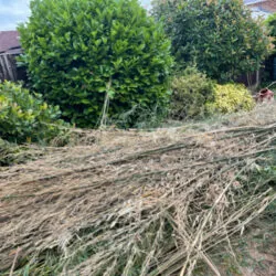 garden waste clearance guildford