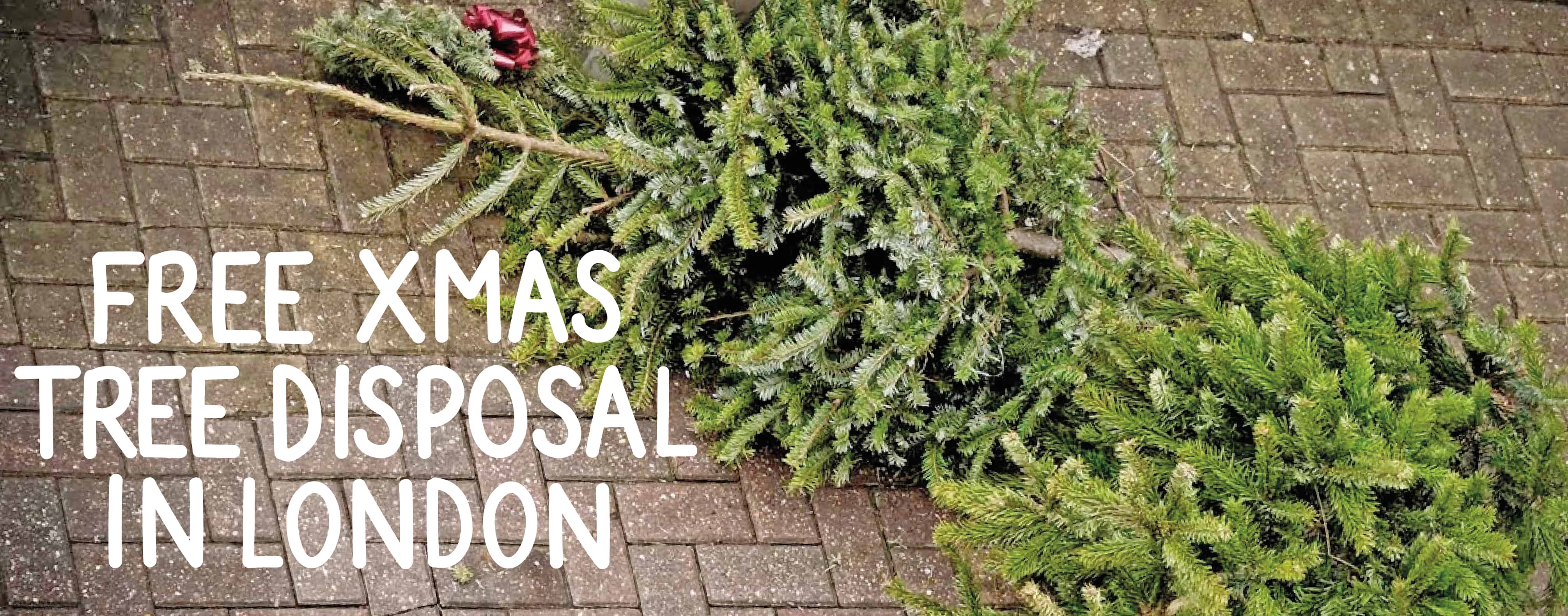 Where To Dispose Of Your Christmas Tree For FREE In London 2022/23