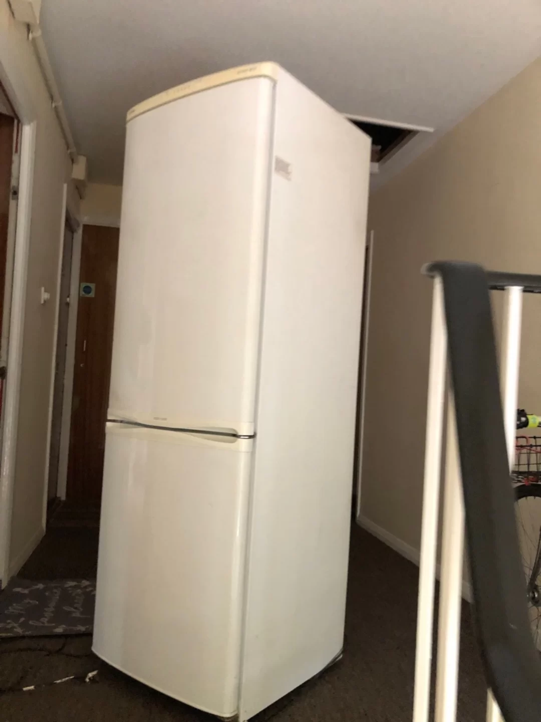 fridge collected for £45